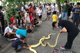 Komunitas reptil di Bali edukasi masyarakat saat "Car Free Day"