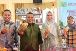 Bupati Dolly sebut pemasaran digital penting kenalkan produk Tapsel keluar