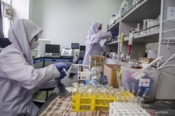 BRIN supports InaRI Expo as space for Indonesian innovators