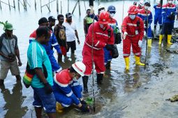 Pertamina RU VII Kasim tanam 10.000 pohon bakau cegah abrasi di Sorong