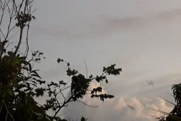 BMKG prakiraan pada Selasa (20/9)  Kapuas Hulu dan Melawi akan terjadi hujan