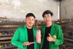 Tim Unmas Denpasar ternakkan burung puyuh melalui sentuhan EM4