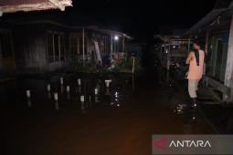 12 kelurahan di Palangka Raya banjir akibat meluapnya sungai besar