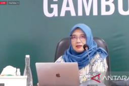 BRGM: Konversi mangrove dapat lepaskan stok karbon dari bawah tanah