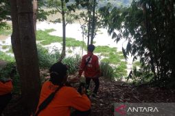 Tim SAR Cianjur cari nenek dilaporkan hilang terbawa arus Sungai Cisokan