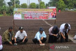 Masyarakat antusias dukung Gerakan Tanam September