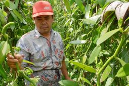 Antam komitmen gunakan energi terbarukan untuk produksi emas ramah lingkungan