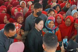 Puan Maharani: DPR sangat perhatikan kesejahteraan petani