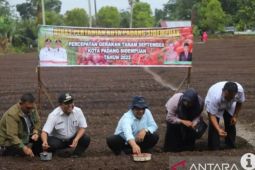 Pemkot Padang Sidempuan giatkan Gerakan Tanam September
