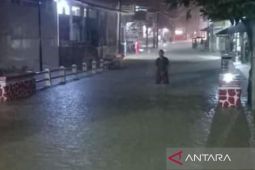 PMI dan relawan diterjunkan selamatkan seratusan keluarga akibat banjir di Cianjur