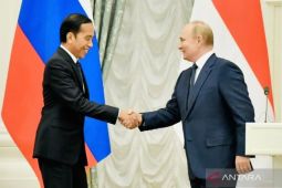 Putin dan Jokowi bahas dimulainya kembali ekspor gandum Ukraina