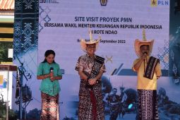 Listrik di desa paling selatan RI bukti kehadiran negara