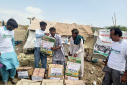 Banjir ekstrem di Pakistan, DMC Dompet Dhuafa-We Care Foundation distribusikan ratusan paket sembako