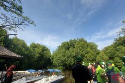 Rehabilitasi mangrove demi lingkungan yang lestari