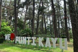 Pengelola taman wisata alam Puntikayu berupaya tingkatkan jumlah pengunjung