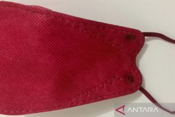 Kasus positif COVID-19 tambah 1.411 pasien, kasus sembuh tambah 2.569 orang