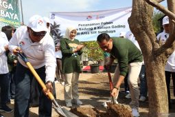 Bank Jatim tanam pohon di pesisir Romokalisari Surabaya