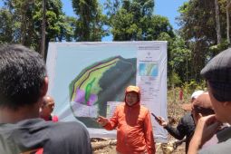Sulteng  gulirkan program kawasan pangan nusantara untuk IKN