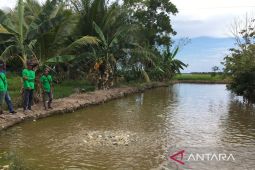 Warga Sebakung Jaya kembangkan budidaya  ikan air tawar secara mandiri