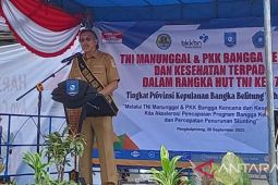 Pj Gubernur Babel: kegiatan penambangan timah ilegal picu kasus stunting