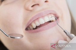 Nikotin tidak sebabkan gangguan pertahanan gusi terhadap bakteri