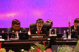 Di AMM G20, Mentan RI tegaskan kesediaan pangan bagian hak asasi