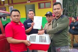 BBKSDA Jawa Barat amankan kancil dari warga di Bojongpicung-Cianjur