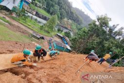 PLN bangun trap tebing di PLTA PM Noor cegah longsor