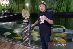 Hipmi segera gelar Festival Koi Show 2022