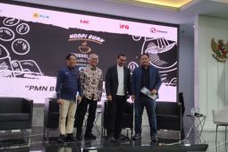 PLN pastikan PMN untuk tingkatkan elektrifikasi wilayah 3T
