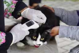 Garut vaksinasi gratis hewan peliharaan cegah penularan rabies