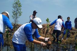 PT. Asahimas, Yayasan Kehati dan Untirta Lanjutkan Program Mangrove "Blue Carbon" di Banten