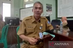 DP3AP2KB: Perkawinan anak di Bangka Belitung turun selama pandemi COVID-19