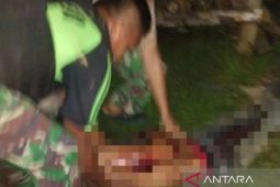 Jasad para korban pembantaian KKB dievakuasi ke Teluk Bintuni
