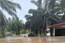 BPBD Mukomuko usulkan perpanjangan transisi darurat ke pemulihan