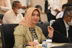 Pembangunan SDM penting dilakukan sampai ke daerah