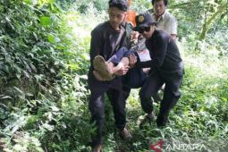 Tim SAR gabungan evakuasi peziarah tersesat di Gunung Salak Sukabumi