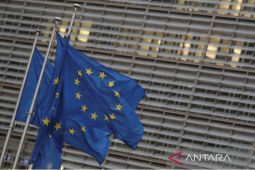Uni Eropa tolak pencaplokan ilegal wilayah Ukraina