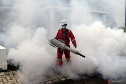Fogging pencegahan wabah DBD