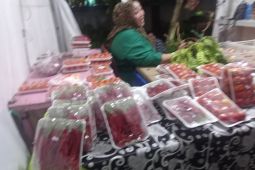 Kelompok Sekar Tani Pandeglang pasok komoditas hortikultura ke sejumlah pasar di Banten