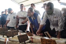 Mendag pastikan persediaan beras nasional aman, harga terjaga