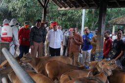 Perdagangan di pasar hewan Bebandem Karangasem capai Rp530 juta sehari