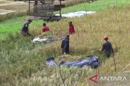 Serapan beras ASN dari petani di Tanjab Timur capai 2.000 ton