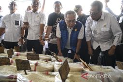 Mendag RI pastikan stok beras nasional & harga terjaga
