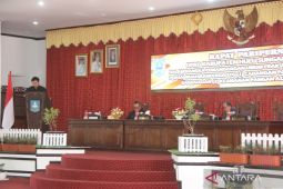 Semua fraksi DPRD apresiasi Raperda cadangan dan keamanan pangan HSS