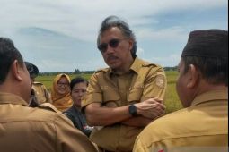 Pj Gubernur Babel dukung pertanian sawah di Bangka Selatan