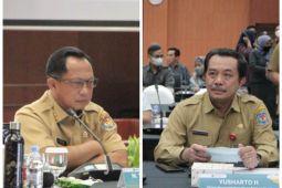 Mendagri minta Pemerintah Desa ikut kendalikan Inflasi