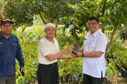 DTPH Paser kembangkan durian varietas Musangking dan Gelapir