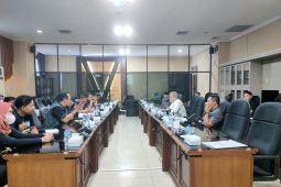 Komisi II DPRD Kalsel nilai ekonomi kreatif  tingkatkan ekonomi daerah