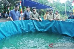 Pemkab Bangka Barat apresiasi perusahaan swasta kembangkan ekonomi desa